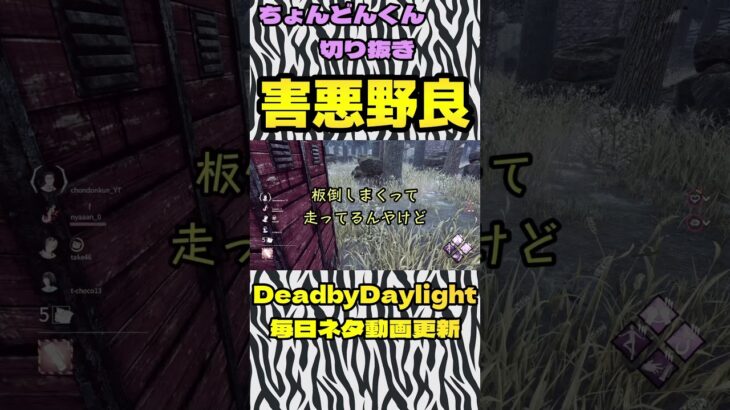 害悪野良があらわれた！【dbd】#shorts