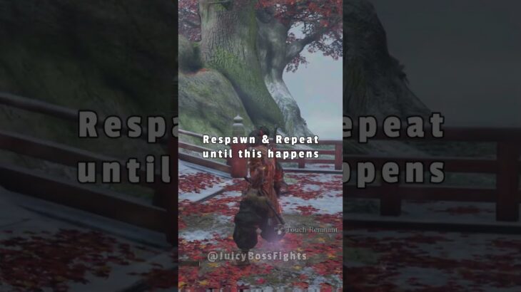 Easy True Monk GLITCH Guide 🫡 #sekiro