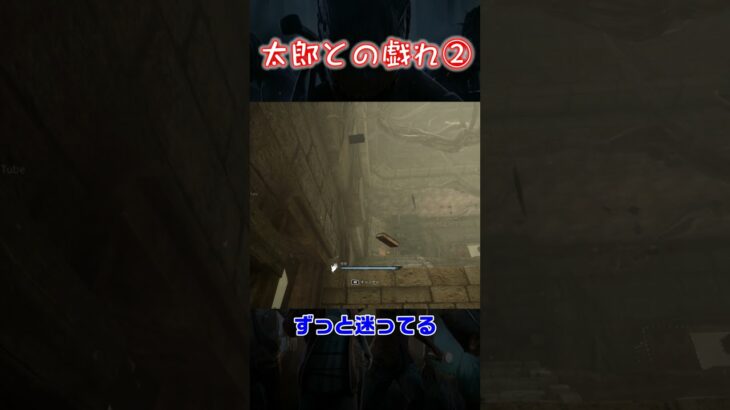 【試作Shorts】太郎との戯れ②【Dead by Daylight】#shorts