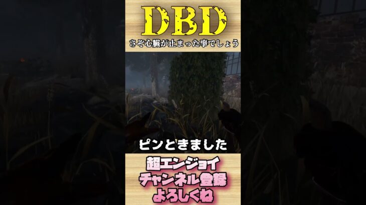 さぞ心臓が止まった事でしょう【dbd】#shorts #dbd #DeadbyDaylight #デドバ #切り抜き #参加型 #チェイス #キラー #サバ #煽り #スタグレ救助 #神試合 #パーク