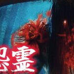 1日1体全キラー毎日配信　　26体目　貞子【DBD/DEADBYDAYLIGHT】