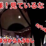 【DBD】強くて楽しい霜月式、呪殺貞子【デッドバイデイライト】