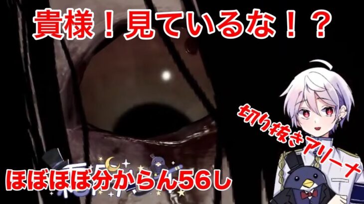 【DBD】強くて楽しい霜月式、呪殺貞子【デッドバイデイライト】