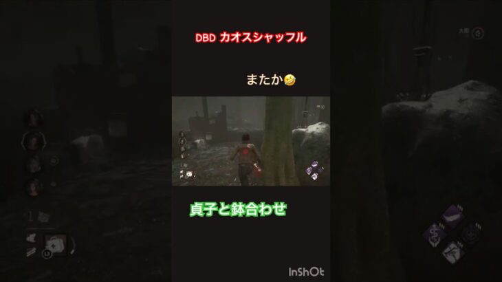 【DBD】(カオス)貞子と鉢合わせ #shorts