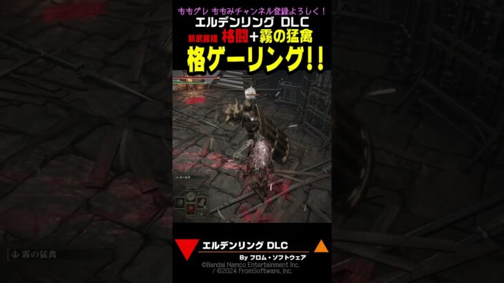 【エルデンリング】 エルデンDLCは格ゲーだった！？『格ゲーリング！』 格闘 + 霧の猛禽 #エルデンリング #DLC #アプデ