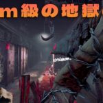 ２０ｍ級の地獄の罰を出せるようになってしまった三角様【デッドバイデイライト】４K60FPS　#DeadbyDaylightPartner