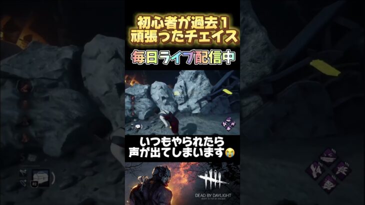 【dbd/デトバ】初心者の頑張りを見てください　#dbd #deadbydaylight #short #デトバ