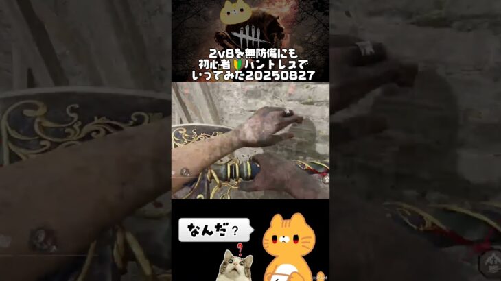 見習い初心者ハントレスで行く2v8 #DeadbyDaylight #dbd #デットバイデイライトライト #キラー #ゲーム配信  #Twitch