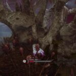 【DBD】初心者だけどがんばる