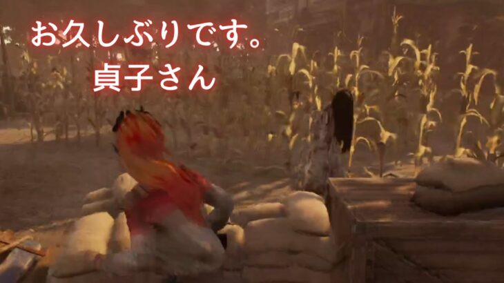 お久しぶりです。貞子さん【DBD】