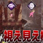 初心者専用「殺人鬼の位置がずっと視える」パーク構成を解説！【DBD】