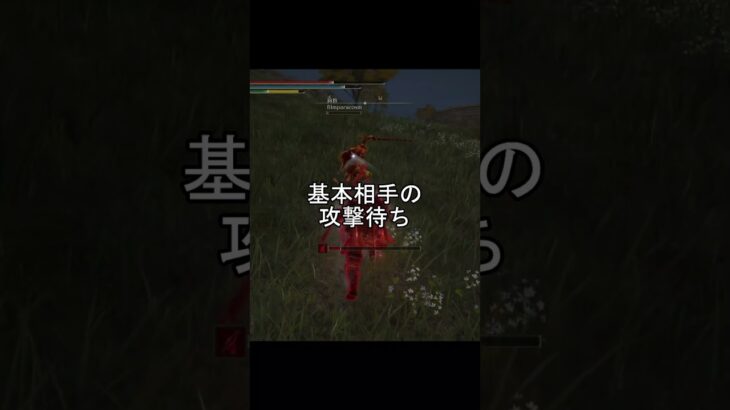 エルデンリング 地獄の侵入 なんかうざい王朝剣技攻略法！  ELDEN RINGDLC #elden #eldenringdlc #ダクソ3