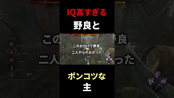 IQ高すぎる野良とキラー…ポンコツな主#dbd