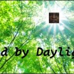 dbd初心者に送るこの構成絶対にしてほしいパーク構成動画#1