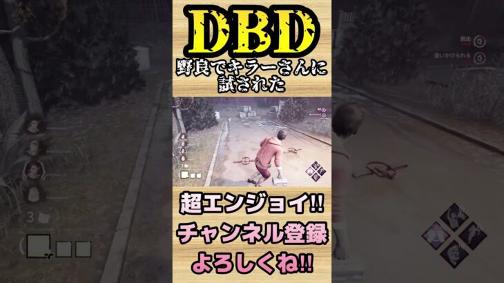 野良でキラーさんに試された【dbd】#shorts #dbd #DeadbyDaylight #参加型 #チェイス #キラー #新キラー #新サバイバー #パーク #アドオン #煽り #神試合