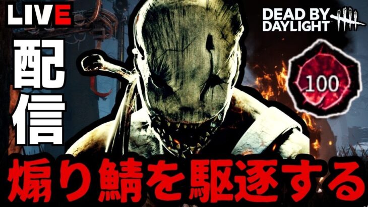 煽り鯖見つけ次第ボコボコにするキラー配信【デッドバイデイライト】
