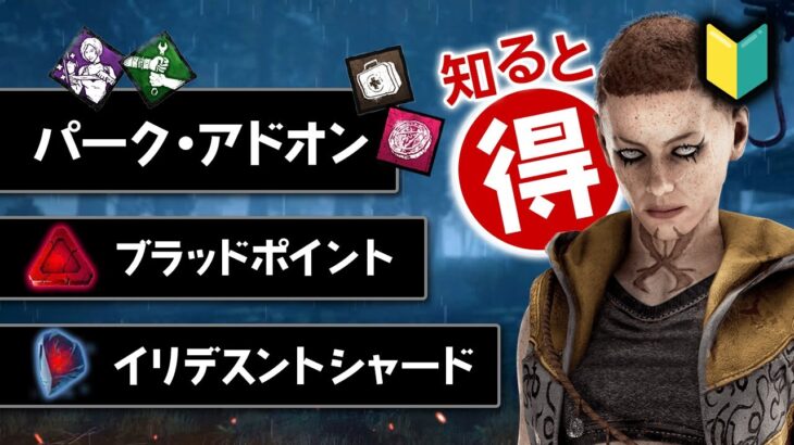 【DBD 初心者】マッチ前に知りたいパーク・アドオン・ブラッドポイント・イリデスントシャードについて