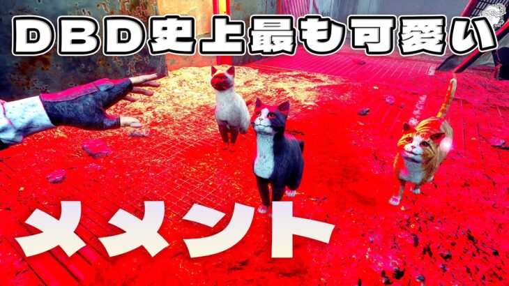 DBD史上最も可愛いメメント実装【デッドバイデイライト】　#DeadbyDaylightPartner