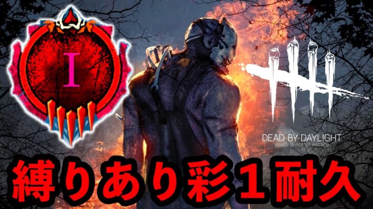 【DbD】縛りありでサバイバー彩１なるまで寝れません【デッドバイデイライト生放送 / 第1578回】