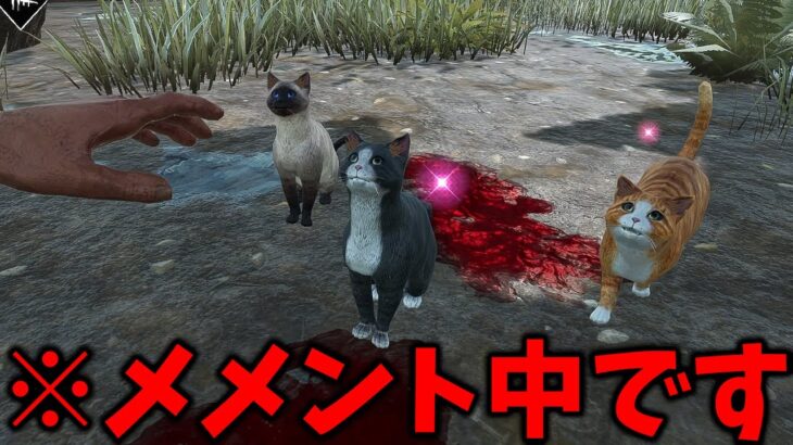 DbD史上最も可愛くて強いキラーが実装されました【Dead by Daylight #顔芸】