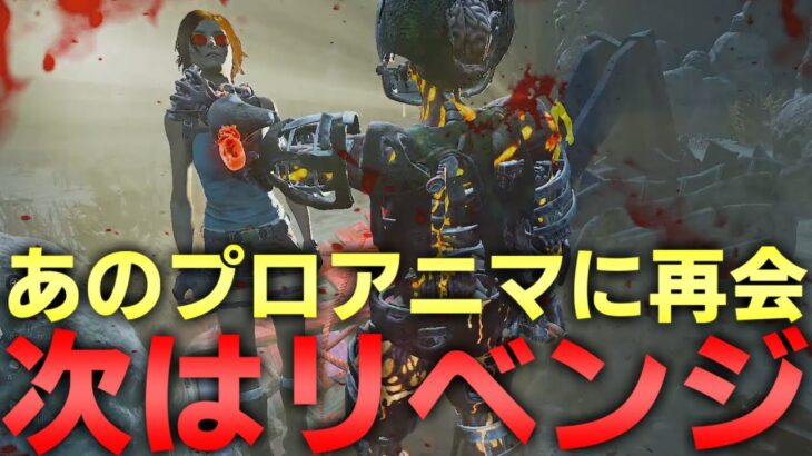 【DBD】前回ボコボコにされたアニマにリベンジ【デッドバイデイライト】