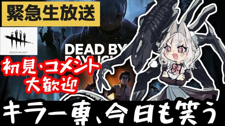 【DBD/キラー】板の数調査隊いくぞ！！！　#deadbydaylight　#dbd