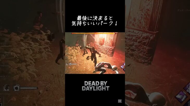 【DBD】やっぱり気持ちいい！パークの刺さる瞬間！#dbd #デッドバイデイライト #deadbydaylight #shorts