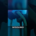 How To Become UNHOOKABLE in DBD!