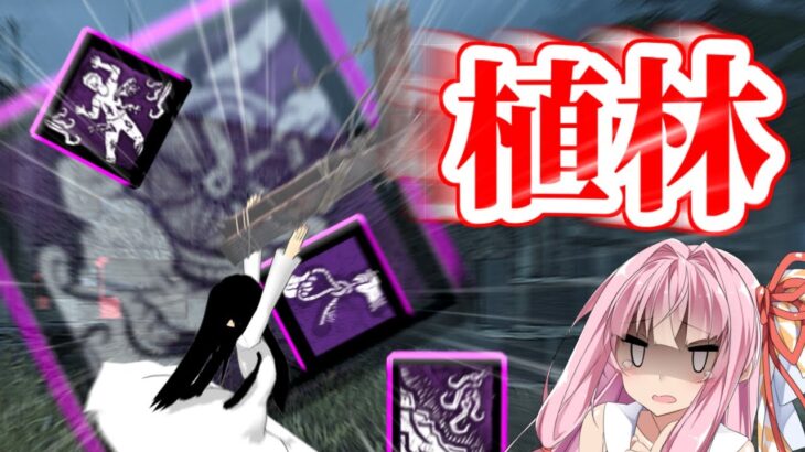 オール悶絶のフック構成貞子ちゃん！今回は植林していきたいと思うぞby貞子　貞子の悪くない構成【茜ちゃんのDBD同好会#180】【Dead By Daylight】【VOICEROID実況】